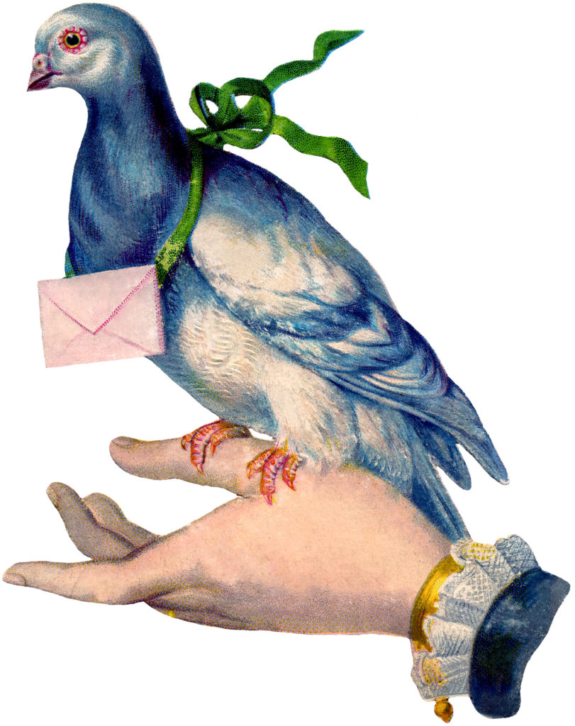 carrier pigeon letter message hand vintage image