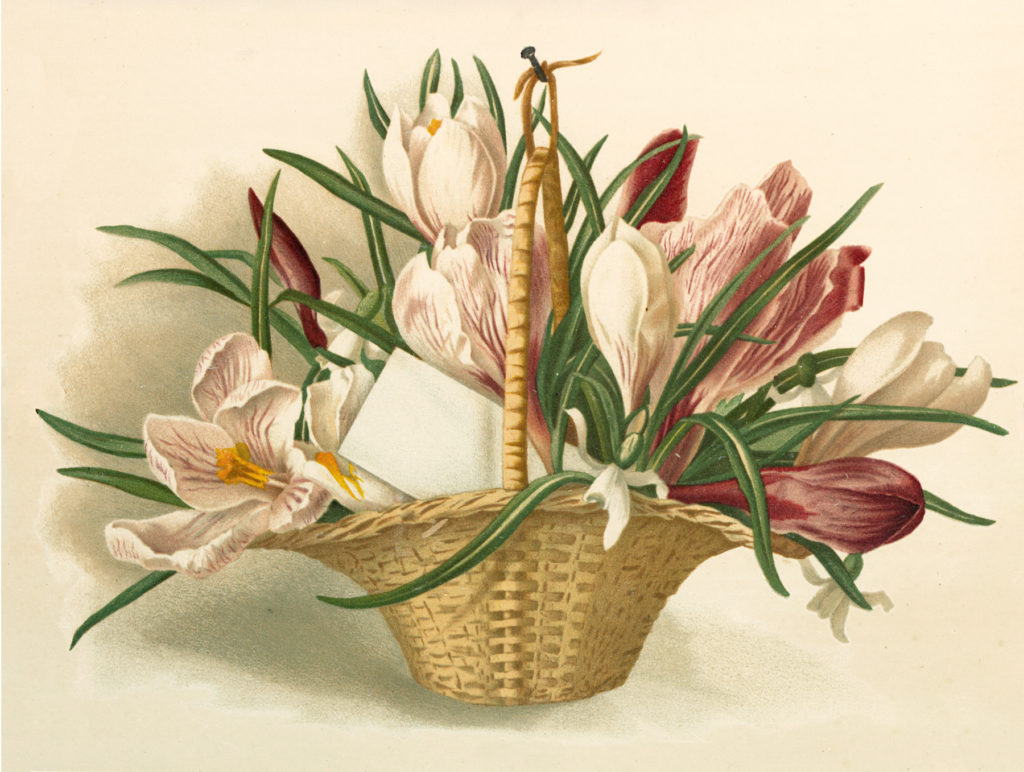 Crocus Flower Basket