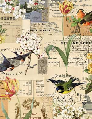 French Ads Collage with birds