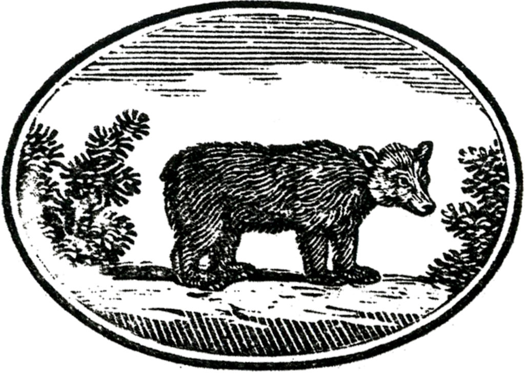 primitive bear etching oval frame image