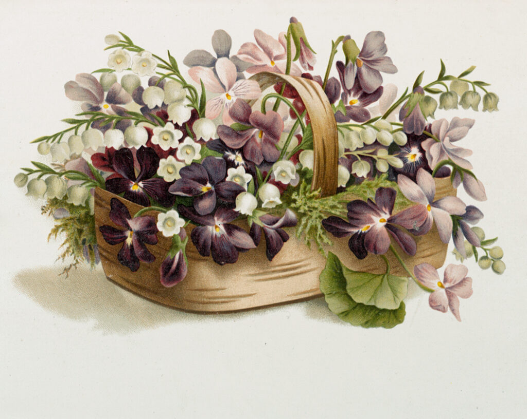 Purple Flower Basket Image