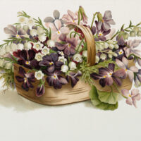 Purple Flower Basket Image