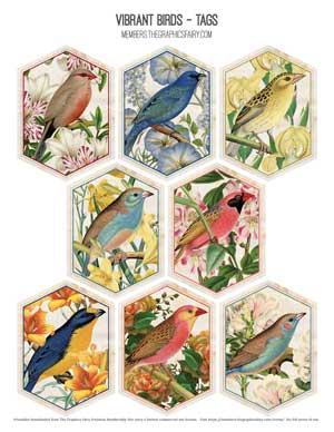 flowers and birds collage stickers