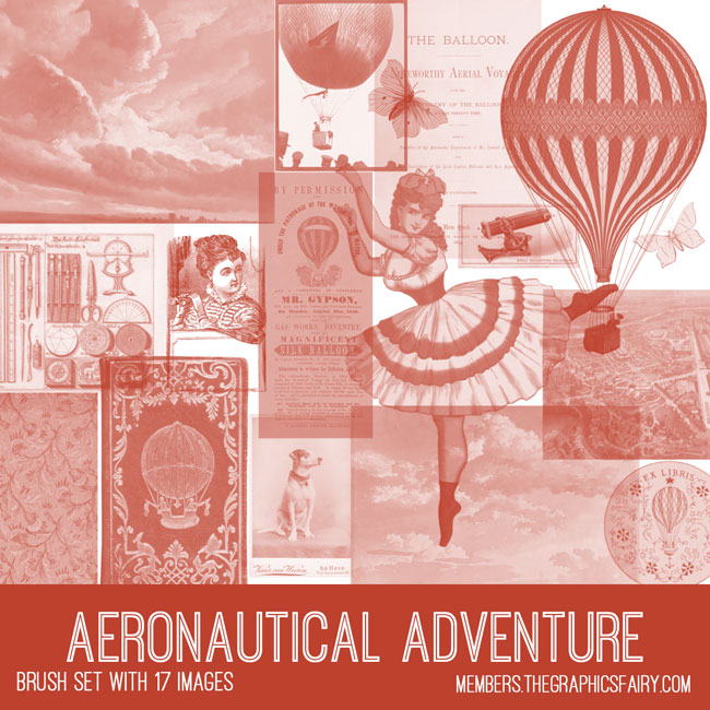 vintage aeronautical adventure ephemera brush set