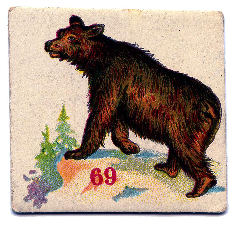 vintage bear graphic