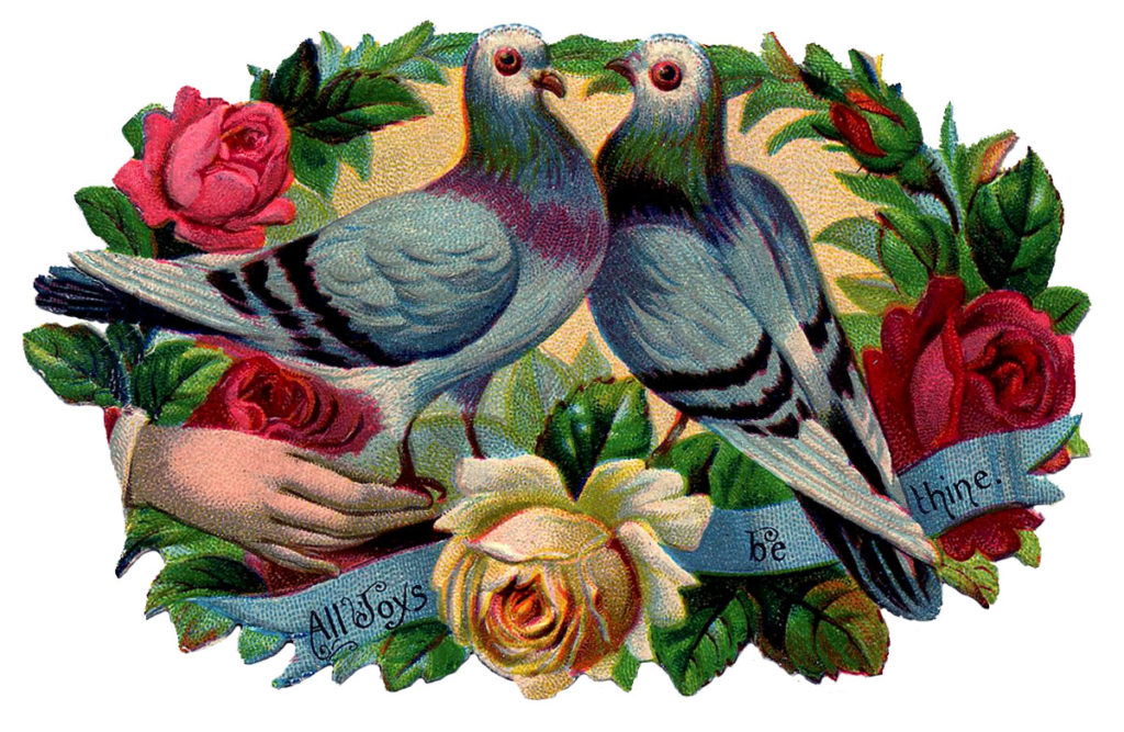 Victorian Scrap birds and flowers