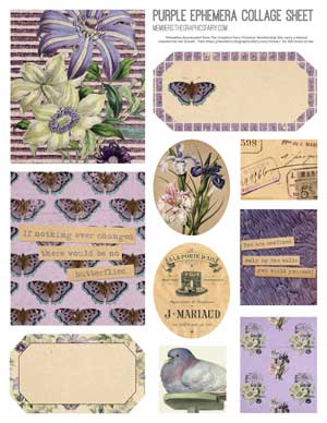 Collage with purple flowers and butterflies