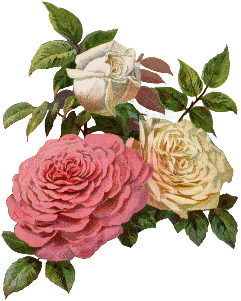 9 Roses Ephemera! - The Graphics Fairy