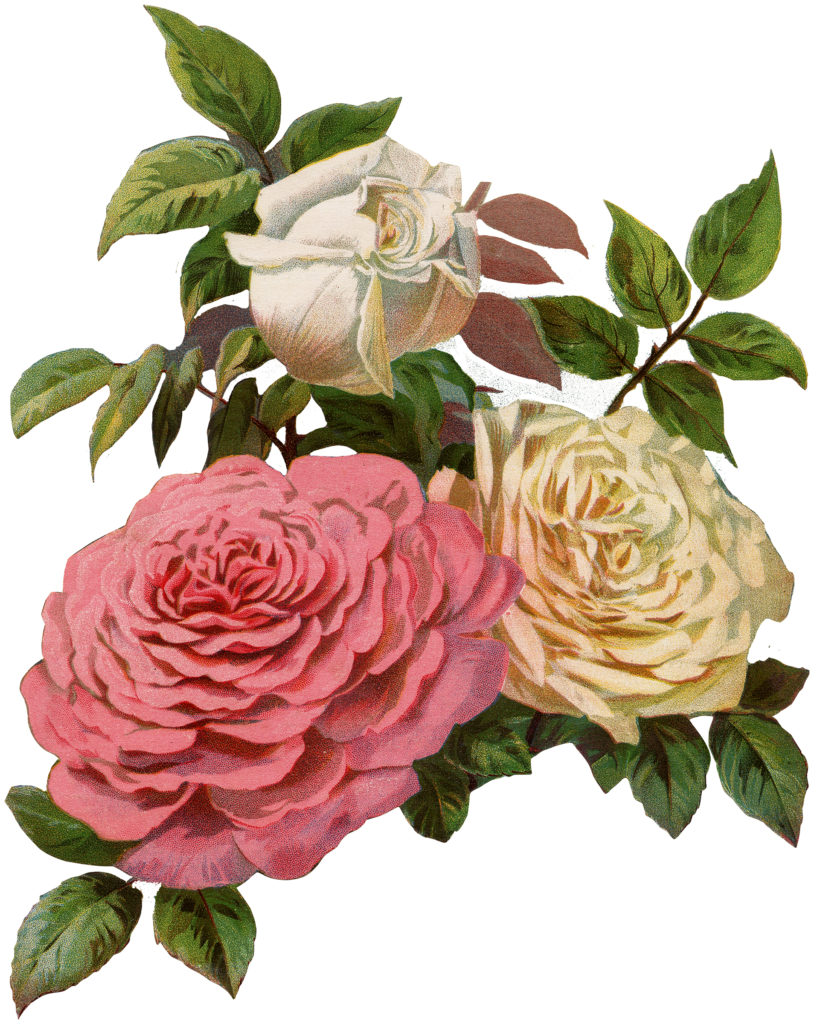 victorian roses scrap clip art