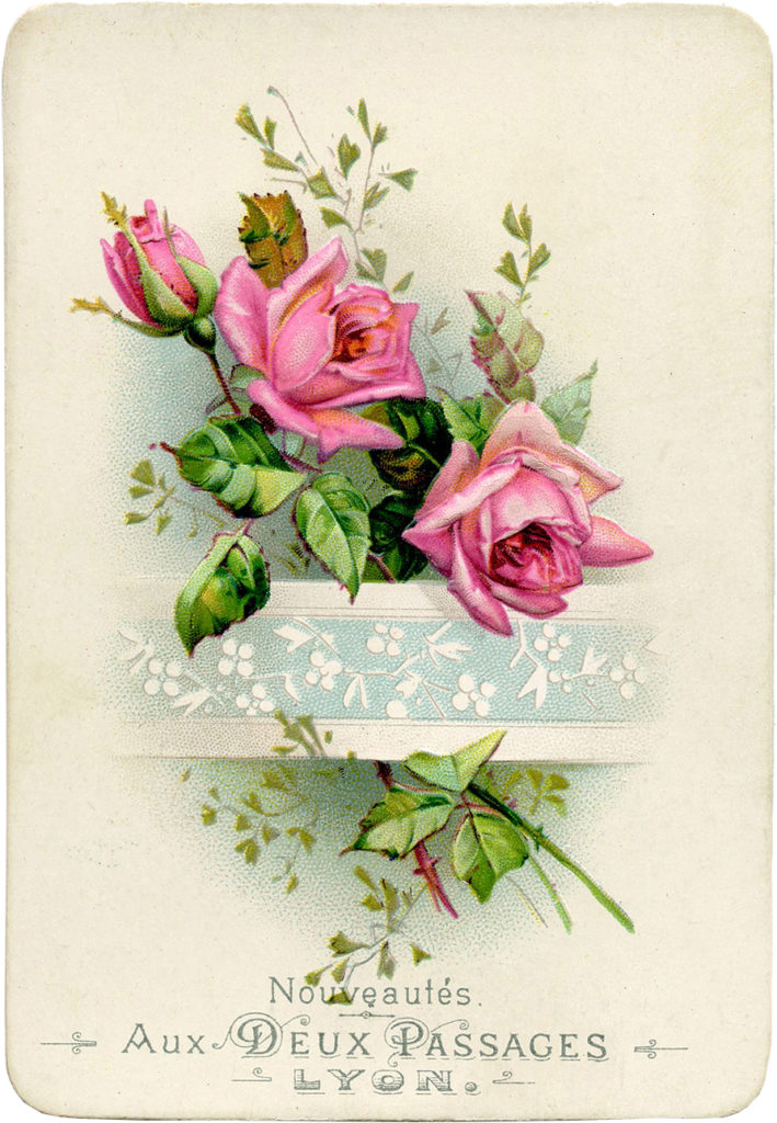vintage French roses illustration