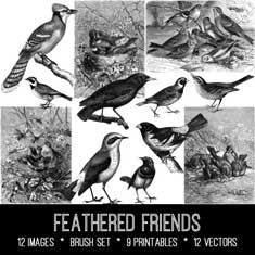 vintage feathered friends ephemera bundle