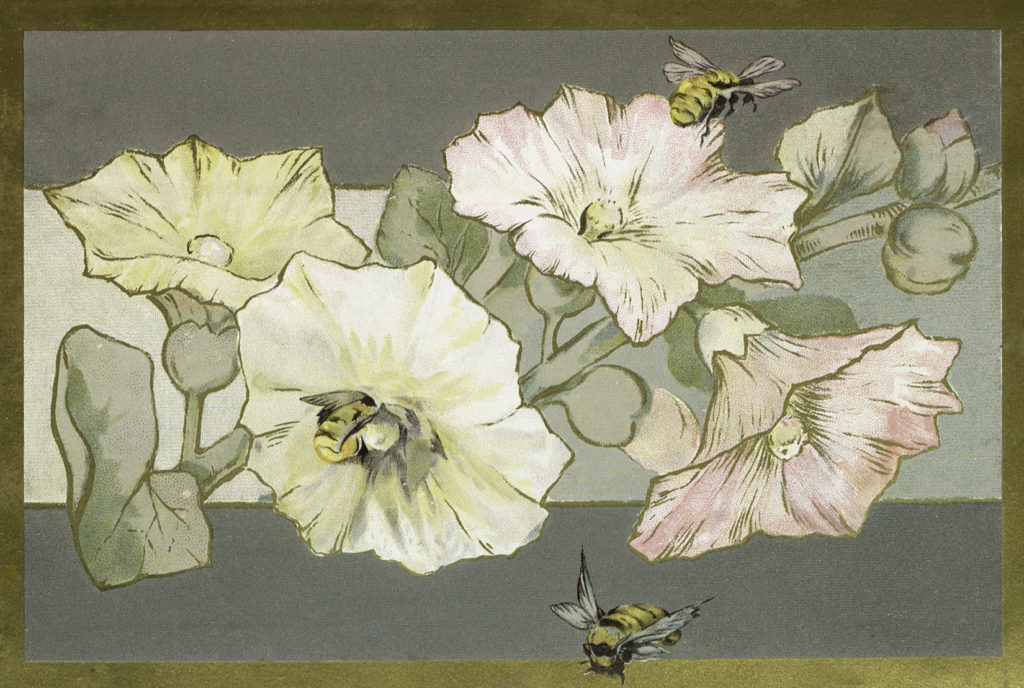 hollyhocks border bee vintage clipart