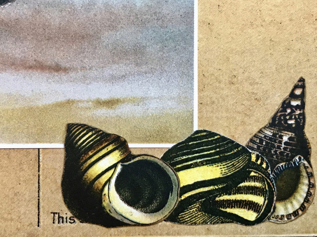 Seashore Junk Journal page shells