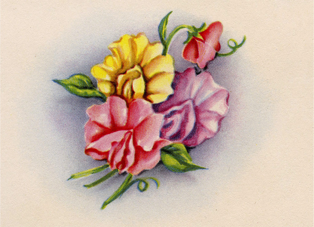 vintage floral bouquet illustration
