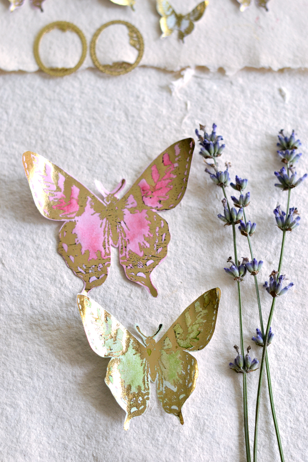 Bordure en papier Butterfly, autocollant - Folia