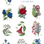 vintage pink blue & red florals ephemera digital image bundle