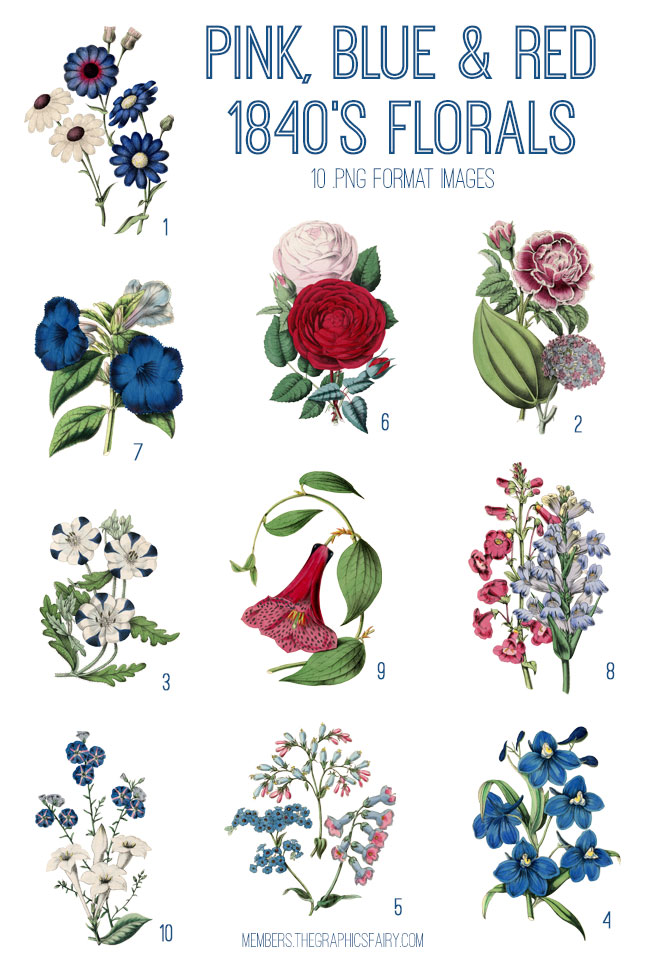vintage pink blue & red florals ephemera digital image bundle