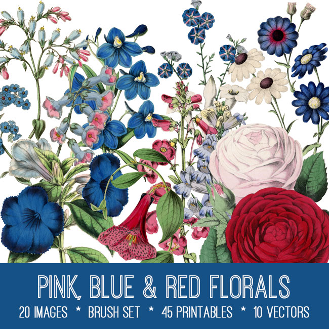 pink blue red florals vintage images