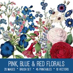 vintage pink blue & red florals ephemera bundle