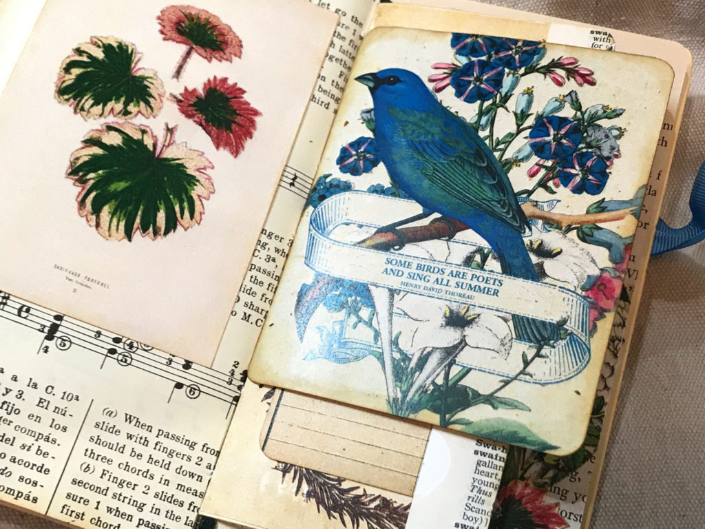 blue bird ephemera