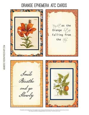 Orange themed collage with flowers