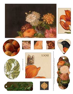 Orange themed collage with flowers