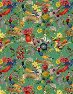 Tropical birds and flowers collage