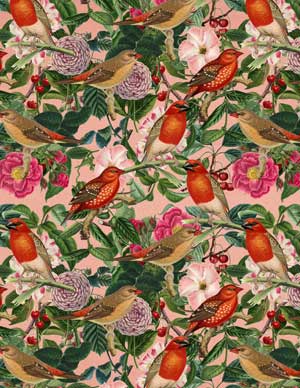 Tropical birds and flowers collage
