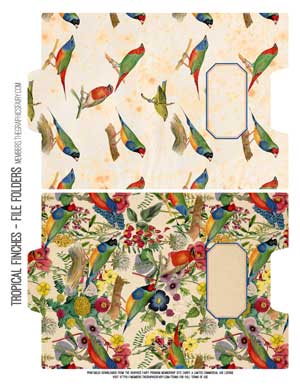 Tropical birds and flowers collage folders