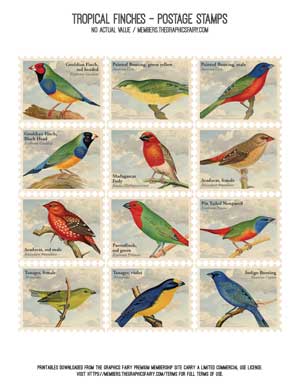 Tropical birds and flowers collage stamps