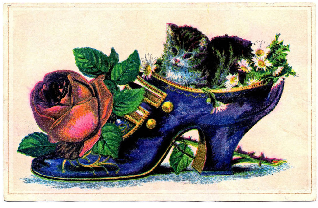 Victorian Show Cat Image