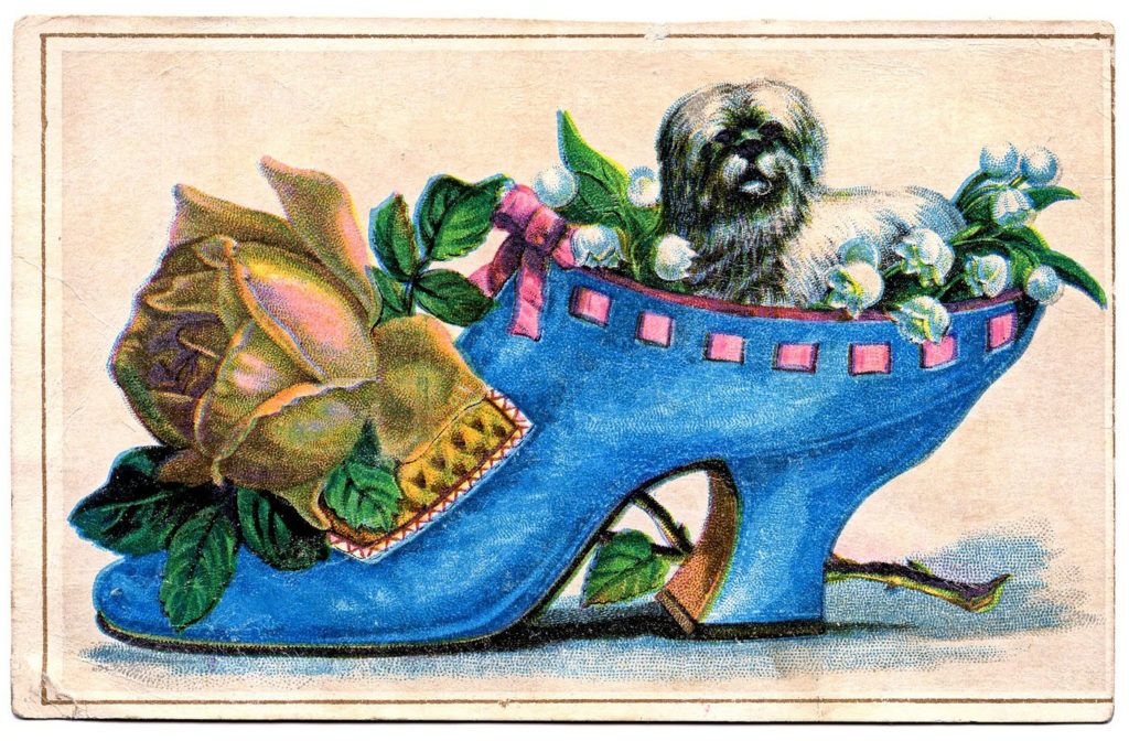 Victorian Show Dog Image