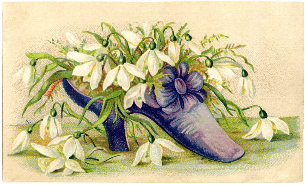 Victorian purple ladies shoe flowers illustration