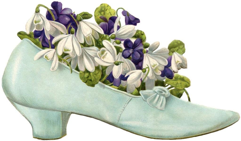 Shoe with Flowes