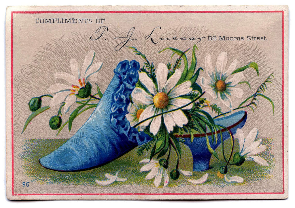 antique blue shoe daisies illustration