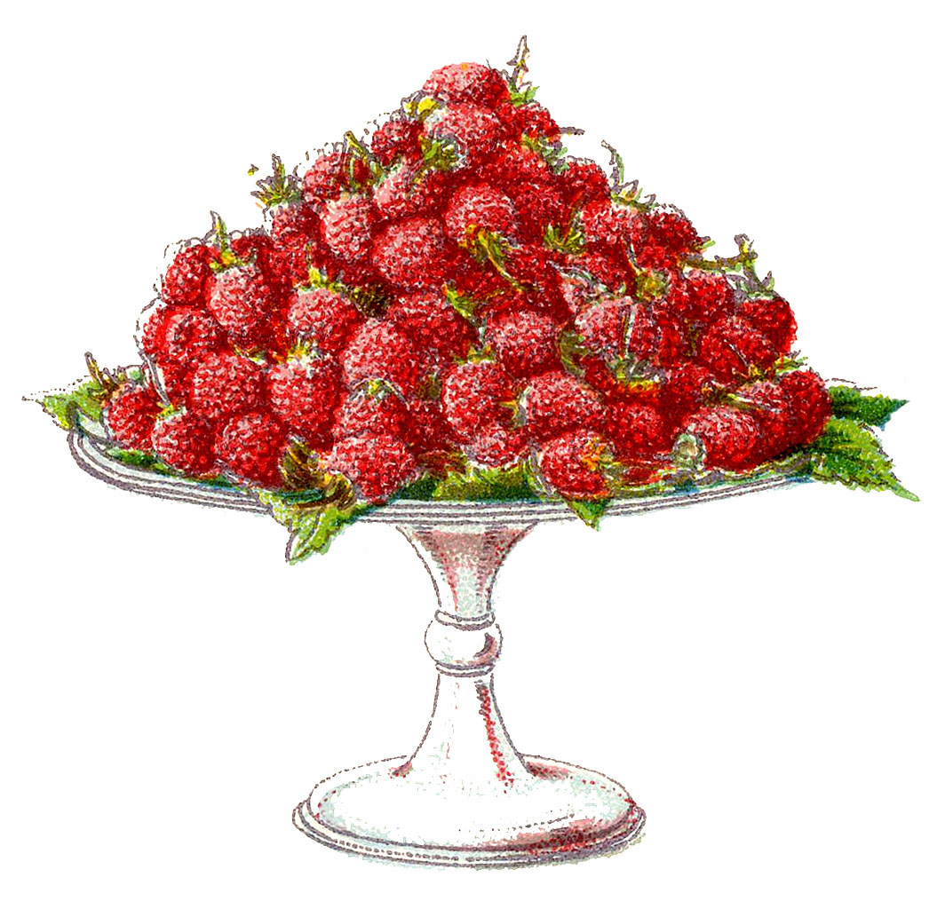 https://thegraphicsfairy.com/wp-content/uploads/2020/07/fruit-beetons-raspberry-red-graphicsfairy.jpg