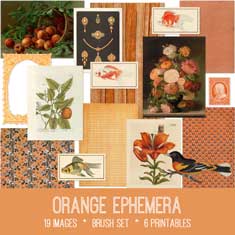 vintage orange ephemera bundle