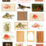 vintage orange ephemera digital image bundle