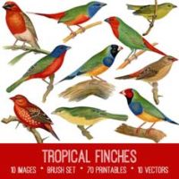 vintage tropical finches ephemera bundle