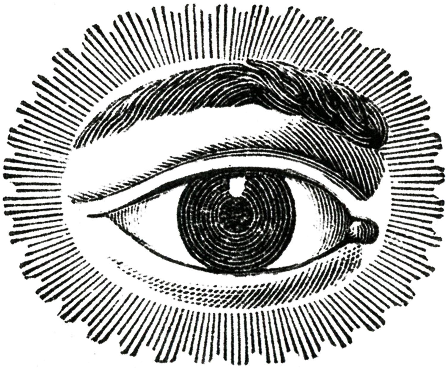 5 Public Domain Eye  Images The Graphics Fairy