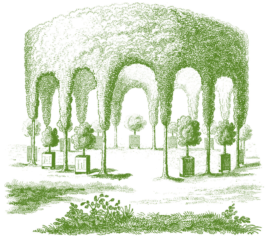 garden hedge gazebo green illustration