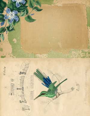 Hummingbird Collage with flowers