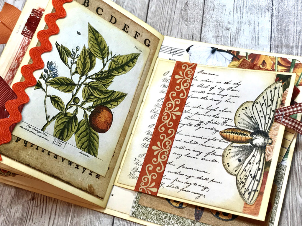 orange botanical ric rac moth image journal page