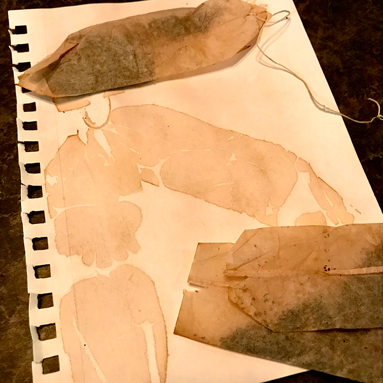 Tea Bags Allowed to Dry on Paper