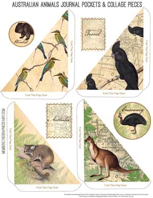 australian animals collage