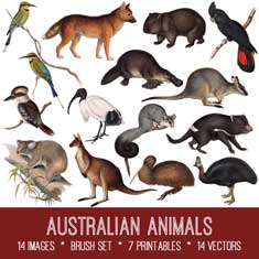 australian animals kit