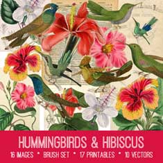 vintage hummingbirds & hibiscus ephemera bundle
