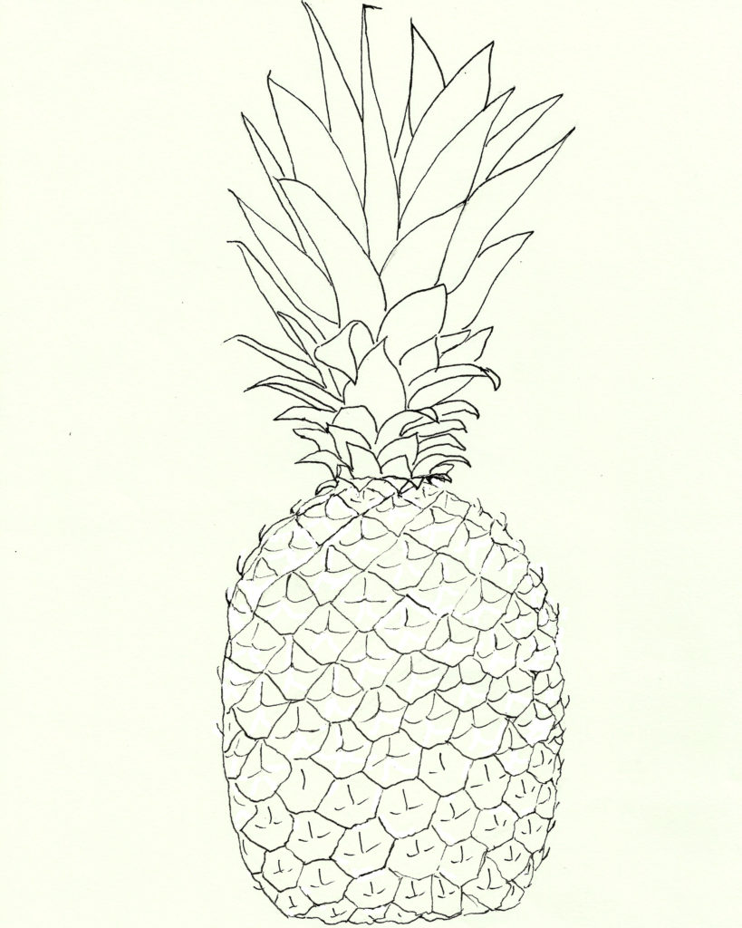 pineapple line art illustration