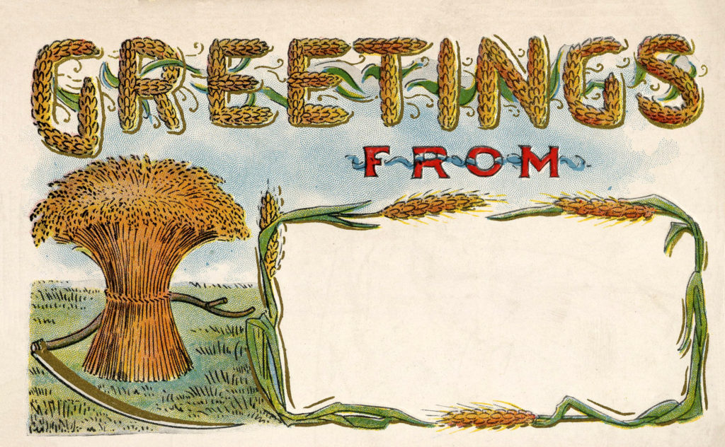 august postcard haystack vintage illustration