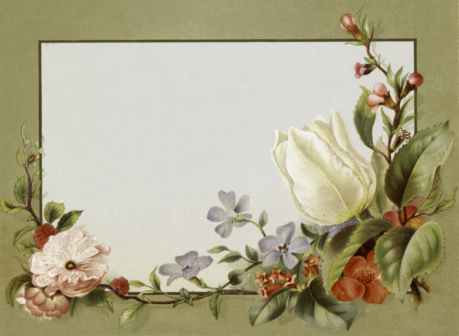 26 Victorian Calling Card Images! - The Graphics Fairy